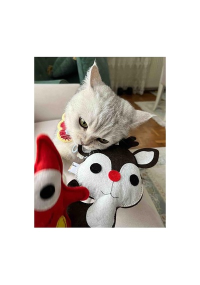 Dino Geyik 28 Cm Catnip + Kedi Zili