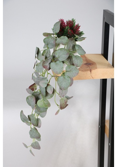 Beton Saksıda Sarkan Okaliptus Bitkisi 50 Cm Yeşil-mor
