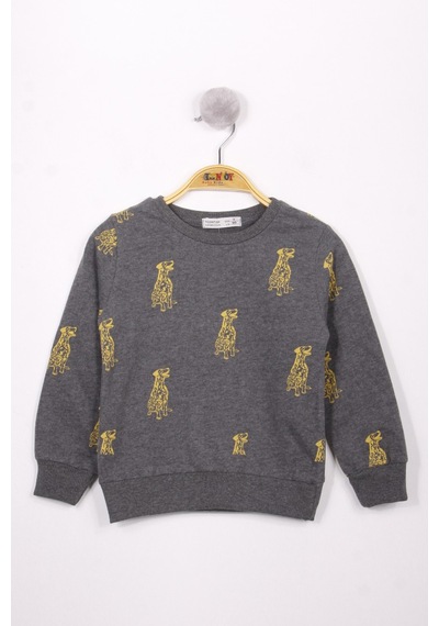 Toontoy Kids Toontoy Erkek Çocuk Relax Fit Bisiklet Yaka Baskılı Sweatshirt - 2 İplik Antrasit