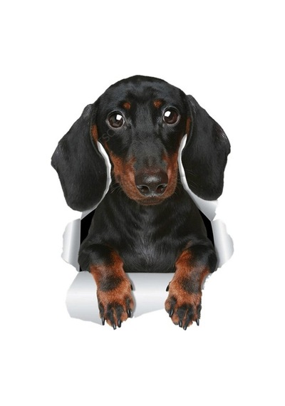 Dachshund Sevimli Köpek Sticker 17Cm