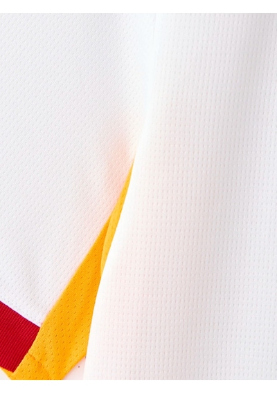 Galatasaray S.k. Beyaz Forma 26/27 Alternatif Forma 5 Yıldızlı Erkek Forma