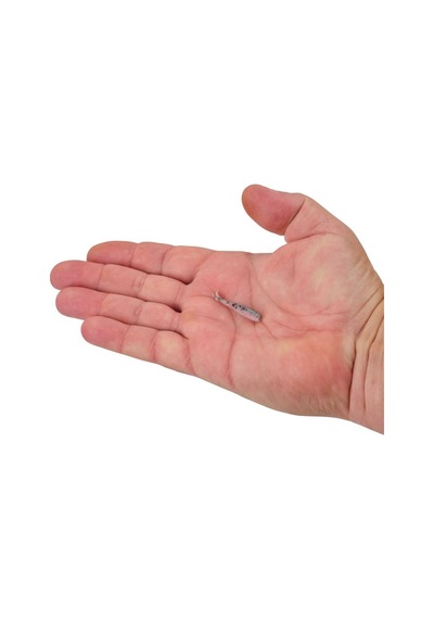 Berkley Gulp Alive Minnow 1'' 2.54 Cm Lrf Silikon Yem Rainbow Trout