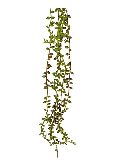 Yapay Çiçek Sarkan Kahverengi Detaylı String Okaliptus Skulent 70cm 5Dal