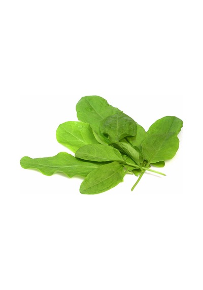 250+ Kuzu Kulağı Otu Tohumu Limon Aromasında N112703