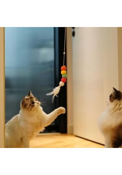 Kedi Oltası Elastik