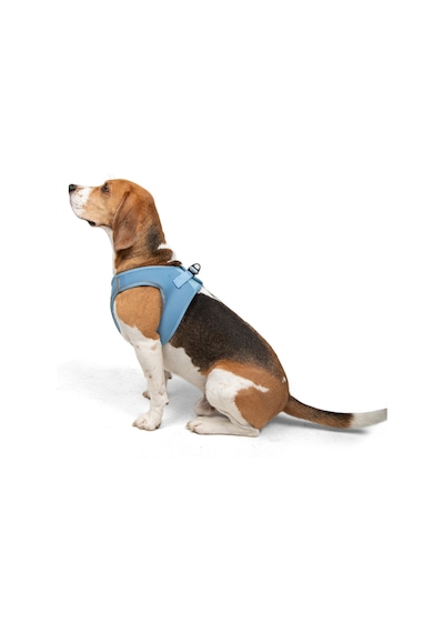 Air-Mesh Küçük ve Orta Irk Kedi Köpek Göğüs Tasması - Yumuşak, Nefes Alabilir, Dayanıklı MAVİ L