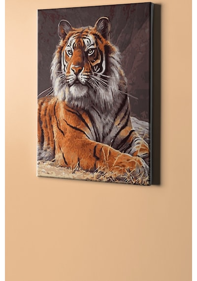 Webstyle Sayılarla Boyama Seti Kasnaklı Kaplan Bakış 60 X 75 Cm