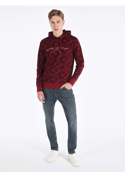 Colin's Colins Regular Fit Baskılı Kapüşonlu Mor Erkek Sweatshirt Mor