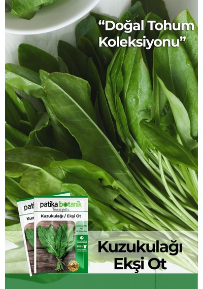 1000 Adet Kuzu Kulağı/ekşiotu Tohumu