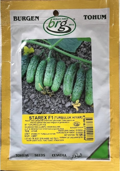 Starex F1 Turşuluk Hıyar Tohumu 10 GR Ortalama 300 Adet Tohum N113375 Starex F1 Turşuluk Hıyar Tohumu 10 GR Ortalama 300 Adet Tohum N113375