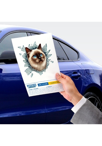 Fulcar 3d Kırık Cam Efektli Kedi Tasarımlı Araç Stickerı 10x10 Cm Çok Renkli