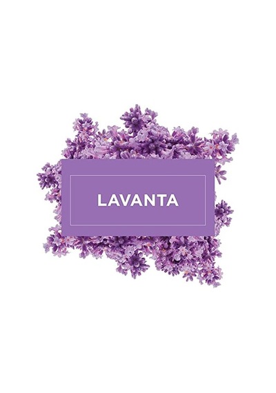 Lavanta Kokulu Konsantre Yüzey Temizleyici 1000 Ml 0
