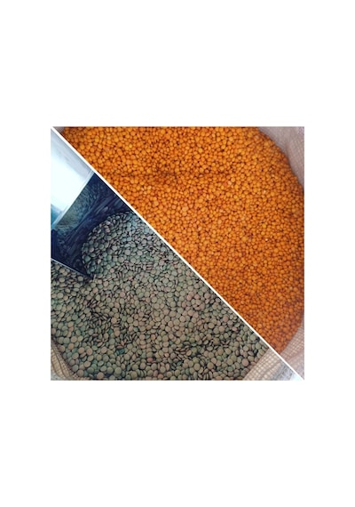 Kırmızı Mercimek 5 Kg Yeşil Mercimek 5 Kg Net 10 Kg