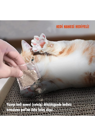 Kedi Tırmalama Dalgalı Ondüle Karton Kutulu 24 x 48 CM