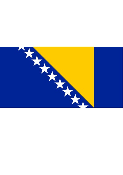 Bosna Hersek Ülke Bayrağı 45x22cm Duvar Tablosu Çerçevesiz Pvc Tablo
