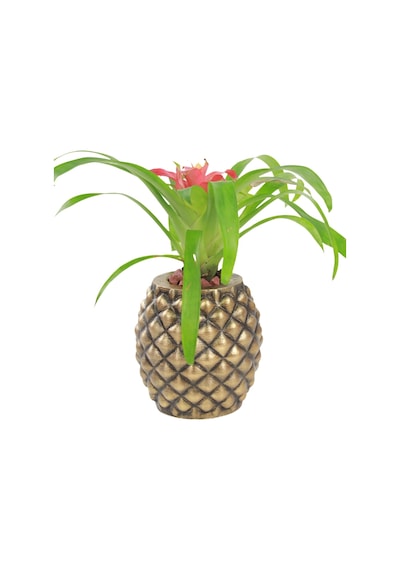 Saksı Çiçek Kaktüs Saksısı Lüx 15 cm Altın Eskitme Varak Boyalı Ananas Desen Saksı Çiçeklik