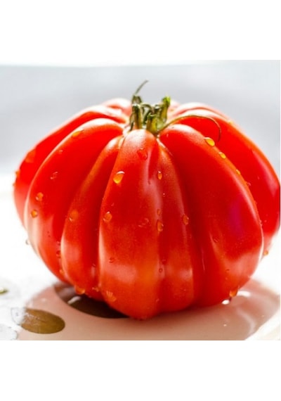 10+ Geleneksel İtalyan Ceneviz Domatesi Tohumu N111902