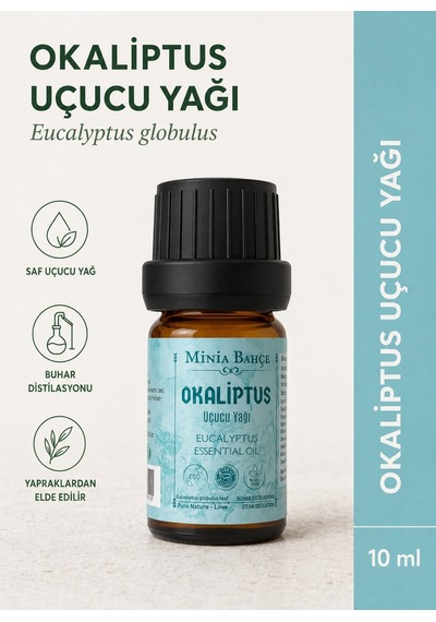 Minia Bahçe Bitki Ve Sanat Atölyesi Okaliptüs Uçucu Yağı Saf ve Katkısız Bitkisel Uçucu Yağ 10 ML
