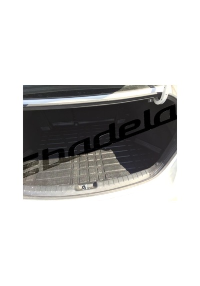 Hyundaı Elantra 2016-2021 Bagaj Havuzu Kokusuz Kaucuk 3D