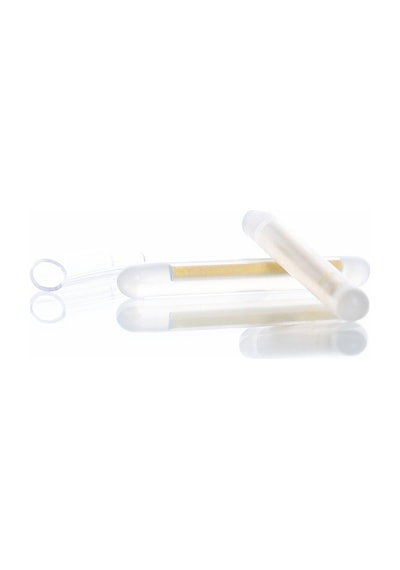Pandora 45 x 37 MM Light Stick Fosfor Işık