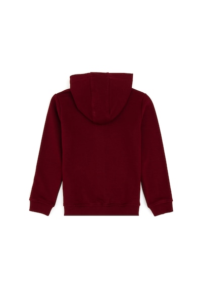 U.S. Polo Assn. Erkek Çocuk Bordo Basic Fermuarlı Sweatshirt 50289144-VR014