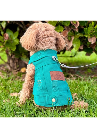 Yeni - Çam Yeşili Renk Kot Köpek Yeleği - Küçük Irklar İçin Şık V