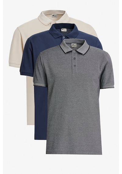 AC&Co / Altınyıldız Classics Erkek Lacıvert-acık Bej Beyaz-acık Sıyah Slim Fit Dar Kesim 3 'lü Kıvrılmaz Polo Yaka Tişört Çok Renkli AC&Co / Altınyıldız Classics Erkek Lacıvert-acık Bej Beyaz-acık Sıyah Slim Fit Dar Kesim 3 'lü Kıvrılmaz Polo Yaka Tişört Çok Renkli