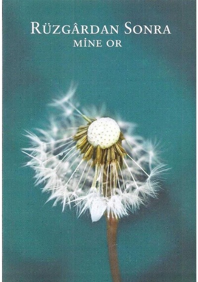 Rüzgardan Sonra - Mine Or