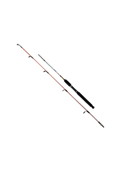 Fishpro Echo 180cm 100-250gr Tekne Kamışı