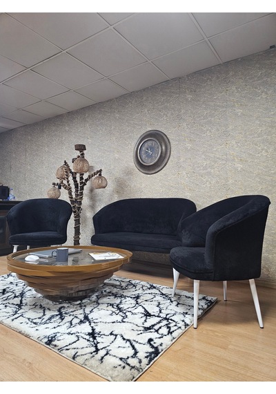 Zafir Teddy Takım Beyaz Boyalı Sivriltme Ayak Çay Seti Koltuk - Berjer , Balkon, Salon, Ofis Siyah Zafir Teddy Takım Beyaz Boyalı Sivriltme Ayak Çay Seti Koltuk - Berjer , Balkon, Salon, Ofis Siyah