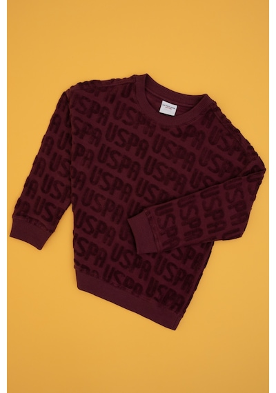 U.s. Polo Assn. Erkek Çocuk Plum Sweatshirt 50308515-vr177 New Plum U.s. Polo Assn. Erkek Çocuk Plum Sweatshirt 50308515-vr177 New Plum