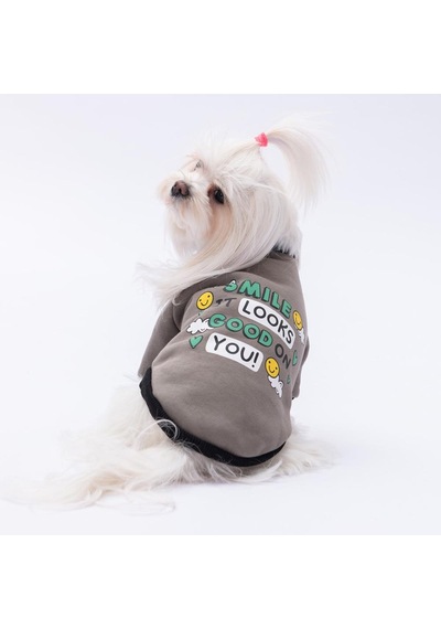 Füme Loviisa Sweat Kedi Köpek Sweat- Kedi Köpek Kıyafeti