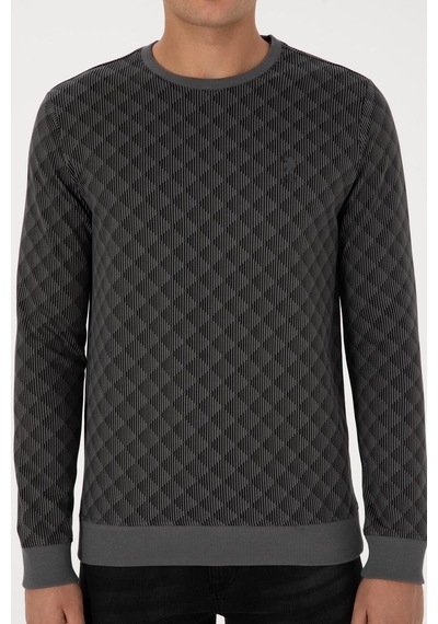 U.S. Polo Assn. Erkek Regular Fit Bisiklet Yaka Pamuk Antrasit Sweatshirt 2245989