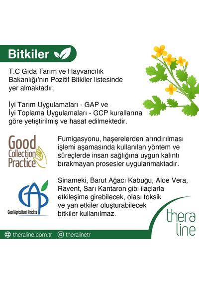 Theraline Easy&Digest 20 Li Çay