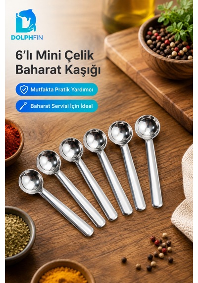 6 Lı Mini Paslanmaz Çelik Baharat Kaşığı Ölçü Ve Servis Kaşık Seti Metalik