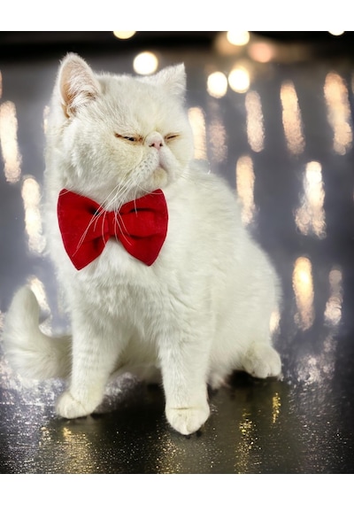 Kemique Maxi Rouge Kedi Papyonu Kurdela Tasma Yılbaşı Noel