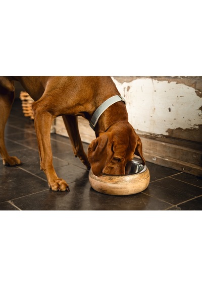 Beeztees Dbl Köpek Mama Su Kabı, Dışı Masif Ahşap, Paslanmaz Çelik, 21cm, 1300ml