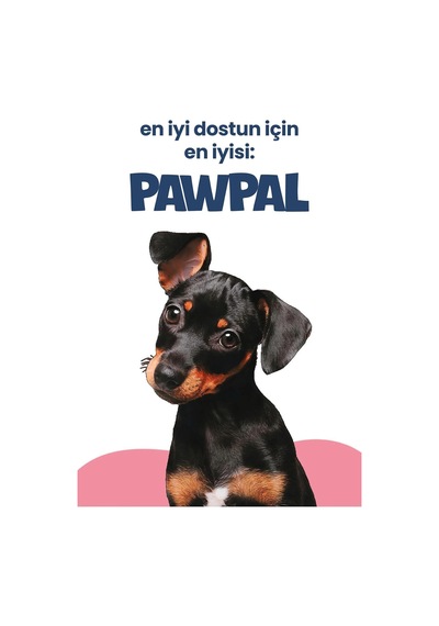 Kuzu Etli Süper Premium Yavru Köpek Maması 3kg Hipoalerjenik Düşük Tahıllı Yüksek Proteinli