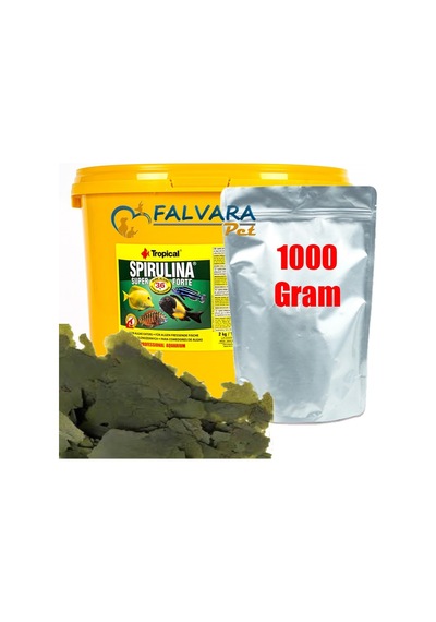 Tropical Süper Spirulina Forte 1000 Gram Pul Yem