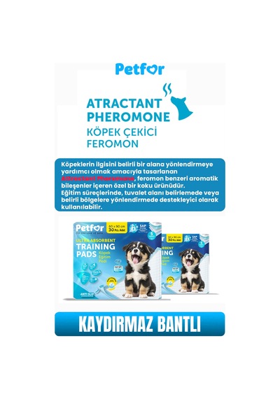 Köpek Eğitim Pedi 60x90 Kaydırmaz Bantlı 180 Adet