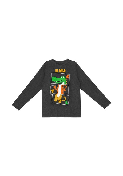 Denokids Be Wild Erkek Çocuk T-shirt Pantolon Takım Çok Renkli