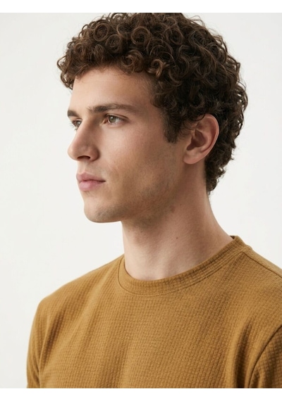 Regular Fit Erkek Tshirt K.kol Camel
