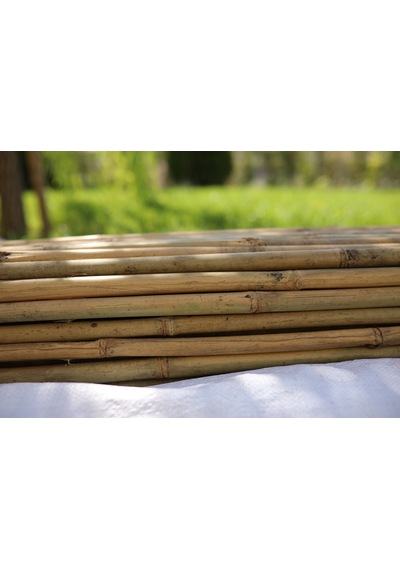200 Cm X 200 Cm Bambu Çubuk Çit / Paravan / Bahçe Çiti