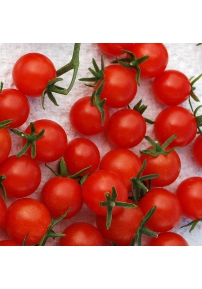Doğal Red Currant Domates Tohumu 20 Tohum 1 Set