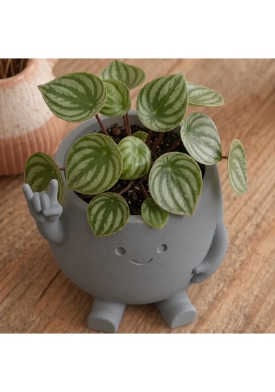 3d Baskı Smiley Face Planter - Gülümseyen Karakterli Saksı-gri