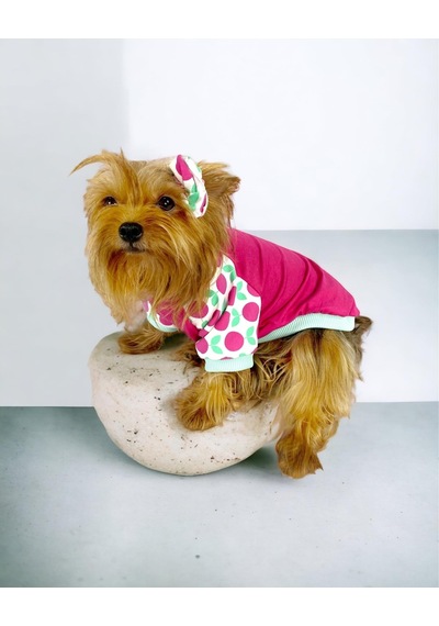 Fruit Party Oval Yaka Tişört Köpek Kıyafeti