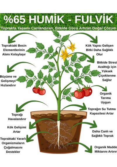 %65 Humik Fulvik Asit Gübresi, Organik Toprak Düzenleyici, Köklendirici K-humate 100 G