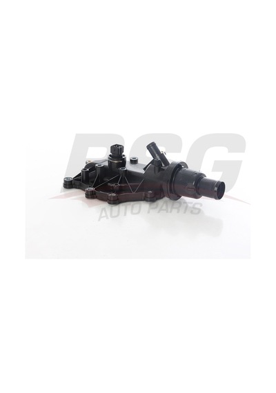 Bsg Termostat 89 C Tahlıye Borusuz Tıp Komple - Fluence/megan Iı-ııı/clıo Iıı/modus/laguna Iı 04-