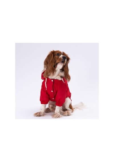 Adonis Kırmızı Mont Köpek Yağmurluğu, Küçük-büyük Irklar Xl Açık Gri