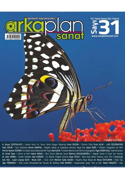 Arka Plan Sanat Cilt 6